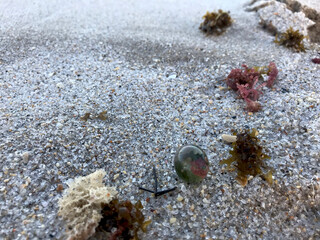 macro of sand on Fort Lauderdale Beach, Florida