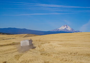 A truckload of harvested wheat heading to the grain elevator in Dufur, Oregon 