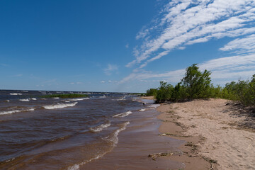 Windy day on the shores of Lake Ladoga. National reserve Kokkorevo. Leningrad region, Russia