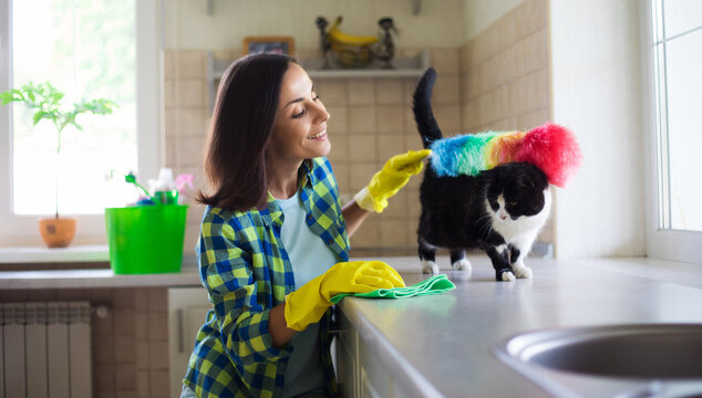 Happy Beautiful Young Woman In Yellow Gloves Is Cleaning The Kitchen With Special Equipment And Plays With Cute Cat