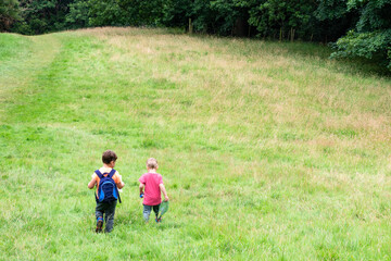 Obraz premium two young boys walking in a grass field