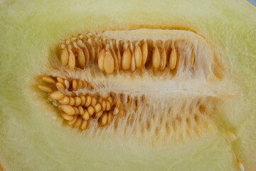 In der Mitte aufgeschnittene Honigmelone mit nicht herausgeschälten Kernen.