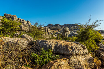 Fototapeta na wymiar Blocks of limestone in the Karst landscape of El Torcal near to Antequera, Spain in the summertime