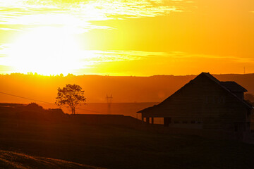 P&ocirc;r do Sol - Casa e &Aacute;rvore