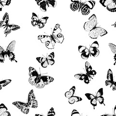 Seamless background of silhouettes various flying butterflies
