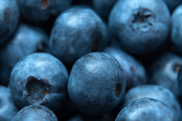 Macro shot of fresh blueberries.