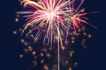 Fireworks against the dark blue night sky