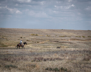 A distant and unrecognizable cowboy on the eastern Plains of Colorado one summer day