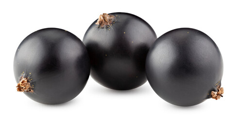 Black currant isolated on white background