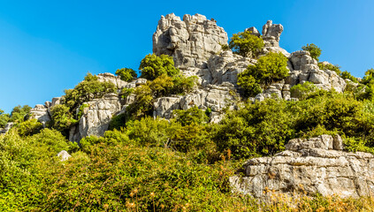 Fototapeta na wymiar The vegetation adorned weathered limestone in the Karst landscape of El Torcal near to Antequera, Spain in the summertime