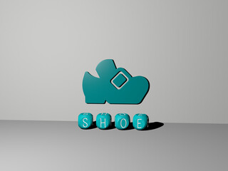 3D graphical image of SHOE vertically along with text built by metallic cubic letters from the top perspective, excellent for the concept presentation and slideshows. illustration and background