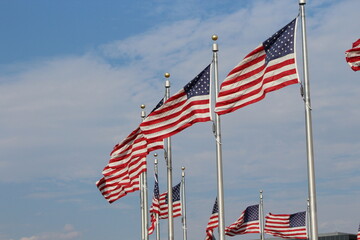 A row of American flags waving in Washington DC, capital of the USA, during a windy day and blue with blue sky.