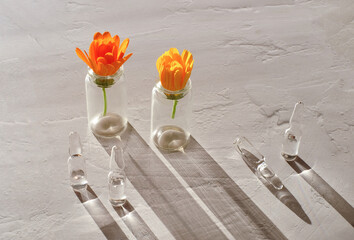 Glass medical ampoule and bottles with flower on white textured background. Sunlight effect. Natural cosmetology concept