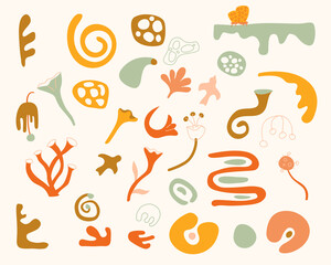 Decorative fairytale floral and herbal shapes set.