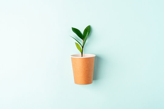 Craft paper coffee cup with green leaves sprout top view. Flat lay Zero waste, eco friendly, natural organic plastic free concept. Earth, biodegradable with copy space on mint background