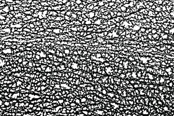 Grunge texture of an organic surface. Monochrome background of vegetable skin with pattern, spots, noise and grain. Overlay template. Vector illustration