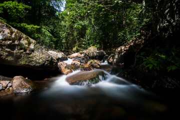 Small streams at the foot of the Brocken (Germany, Harz).