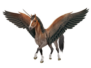 illustration, cheval, licorne, volant, ailes, vol, gris, beau, nature, animal, faune, fantastique, sauvage, liberté