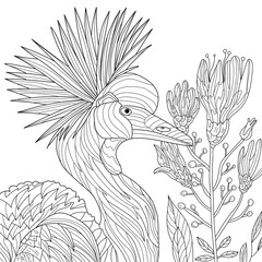 Crown bird portrait. Vector illustration hand drawn. Coloring page.