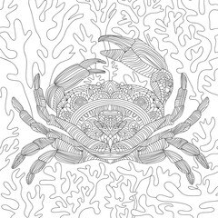 Crab illustration. Vector illustration of a crab on the beach