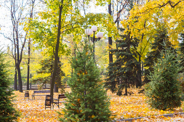 Autumn urban landscape on a Sunny day - yellow autumn trees in the Park, colorful red and orange leaves, and bright sky with clouds