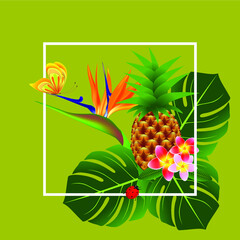 Summer banner, tropical flowers and leaves.