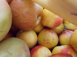 fresh fruits in a market