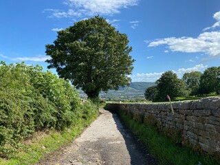 Looking down a rough dirt track, with a green hedgerow, large old tree, and a landscape view of fields and meadows near, Otley, Yorkshire, UK
