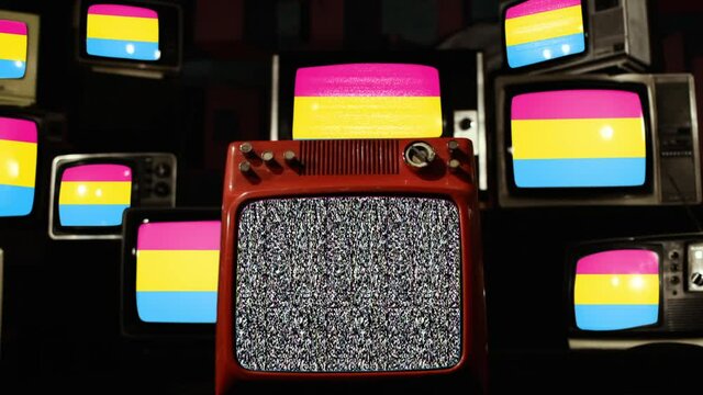 Pansexual Pride Flag and Vintage Televisions.