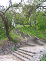 steps in the park green background
