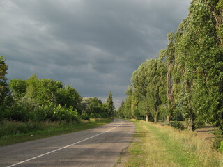 Fototapeta na wymiar road trees and sky with clouds