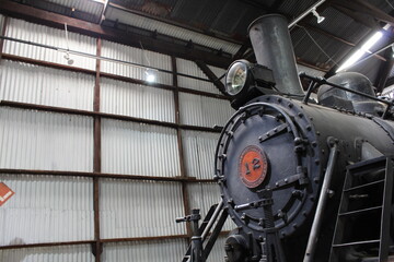 Locomotora