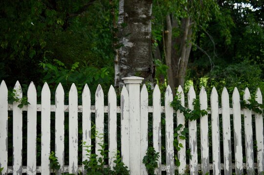 wooden fence with green grass