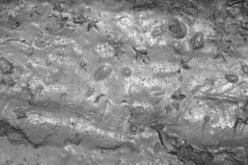 Mud texture or wet gray soil as natural background.