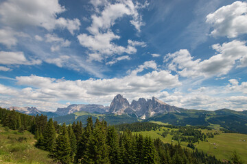 Fototapeta na wymiar Alpe di Siusi - Seiser Alm with Sassolungo - Langkofel mountain group in front of blue sky with clouds.