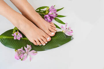 Beautiful perfect female skin legs feet top view with tropical flowers and green palm leaf. Nail polish, care and clean, spa pedicure treatment in white. Concept on background isolated. Copy space