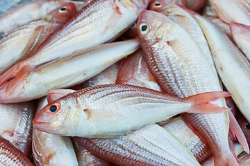 Many fresh bream fish caught by local fishermen were placed in trays. For sale in the morning market.