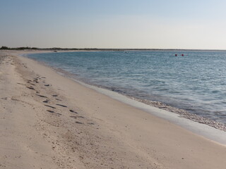 Footprints in the sand