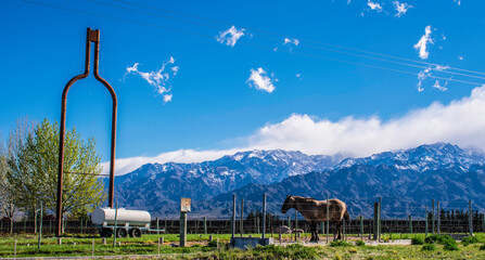 view of the andean nevada mountain range in mendoza argentina with hor