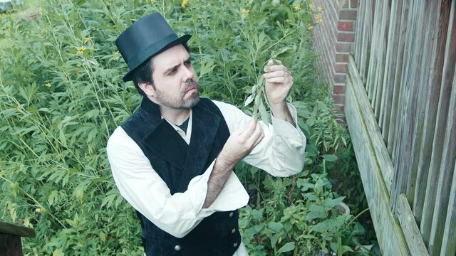botanist from 1900s looking at leaves