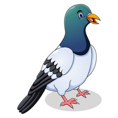 Cute pigeon cartoon on white background
