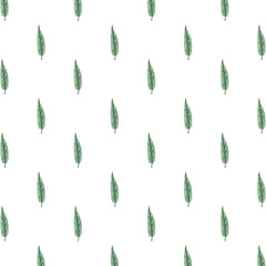 tropical leafs palm nature pattern background