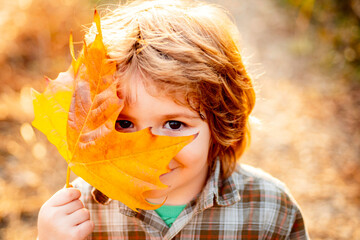 Autumn child, close up face. Happy kid boy walking in autumn Park, beautiful child in warm jacket sweater on the autumn nature background.