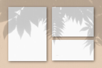 Several horizontal and vertical sheets of white textured paper on the background of a peach wall. Natural light casts shadows from an exotic plant. Flat lay, top view