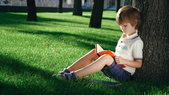 A boy is sitting under a big tree on the green grass and reading a book.