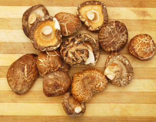 Fresh mushrooms close up