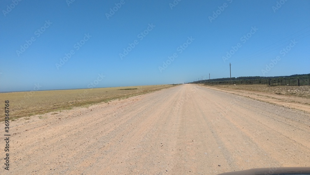 Wall mural road in the countryside