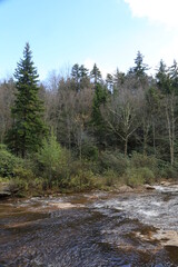 Fototapeta na wymiar River along the wooded valley