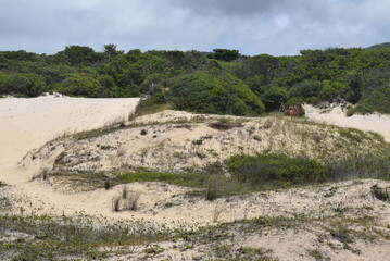 ruins of ancient city of pompeii