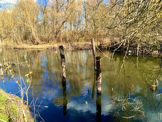 reflection in the water